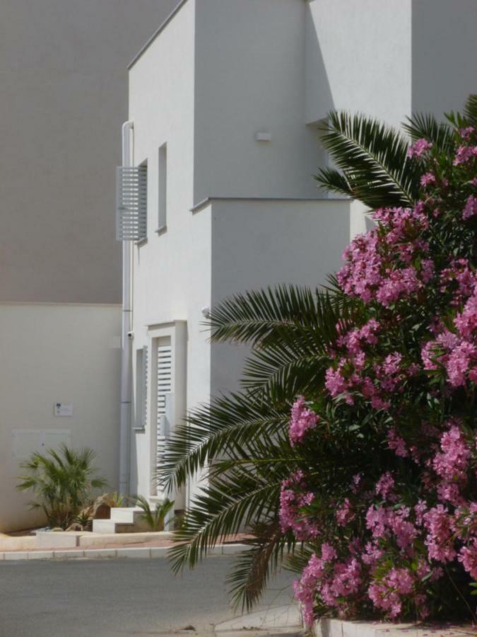 Charm Holiday Terrasini Εξωτερικό φωτογραφία